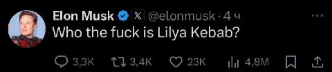 Ноп Musk Who the fuck 1$ Lilya Kebab?