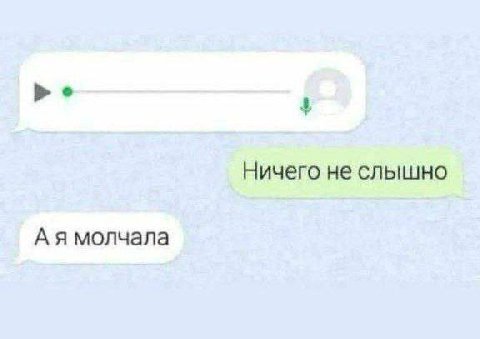 Ничего не слышно молчала