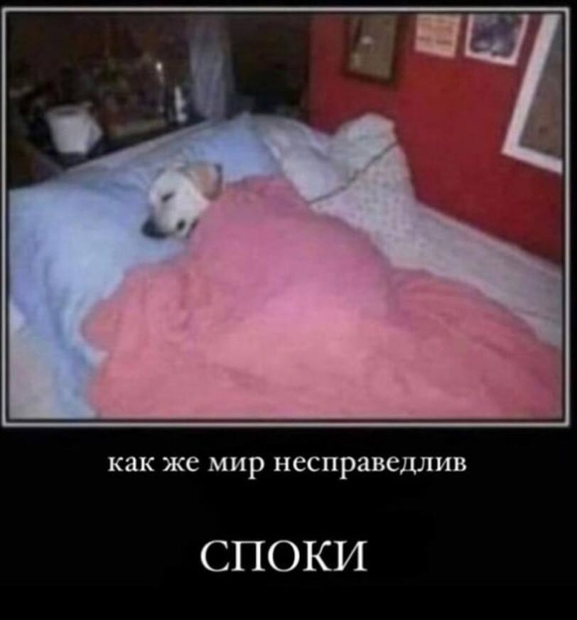 как же мир несправедлив СПОКИ