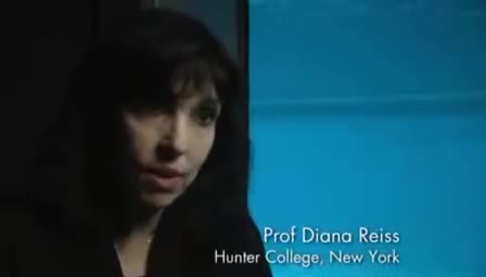 Prof Diana Reiss Hunter College, New York