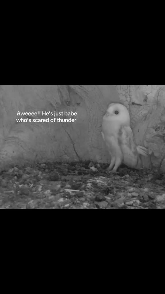 Амееее!! He’s just babe who's scared of thunder