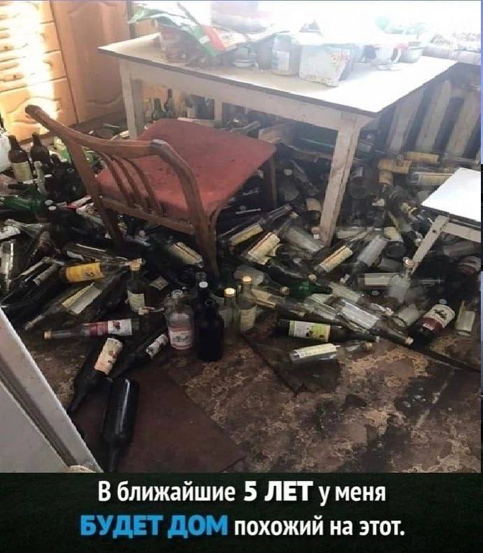 Мы 1 9’. ближайшие 5 ЛЕТ уменя ПЕТ ПОМ 1 похожий на этот. ДЕТ