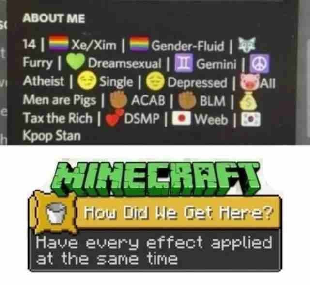 14 Xe/Xim Gender-Fluid Furry Dreamsexual Gemini и Atheist Depressed Men are Pigs АСАВ Tax the Rich DSMP Weeb Крор Stan у Have every effect applied at the same time