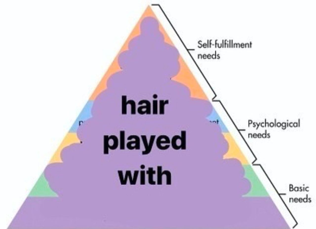 Self-fulfillment needs ical Basic needs