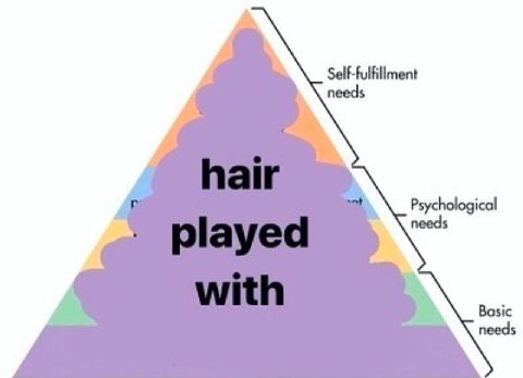 Self-fulfillment needs ical Basic needs