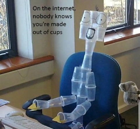 nternet, knows ade cups