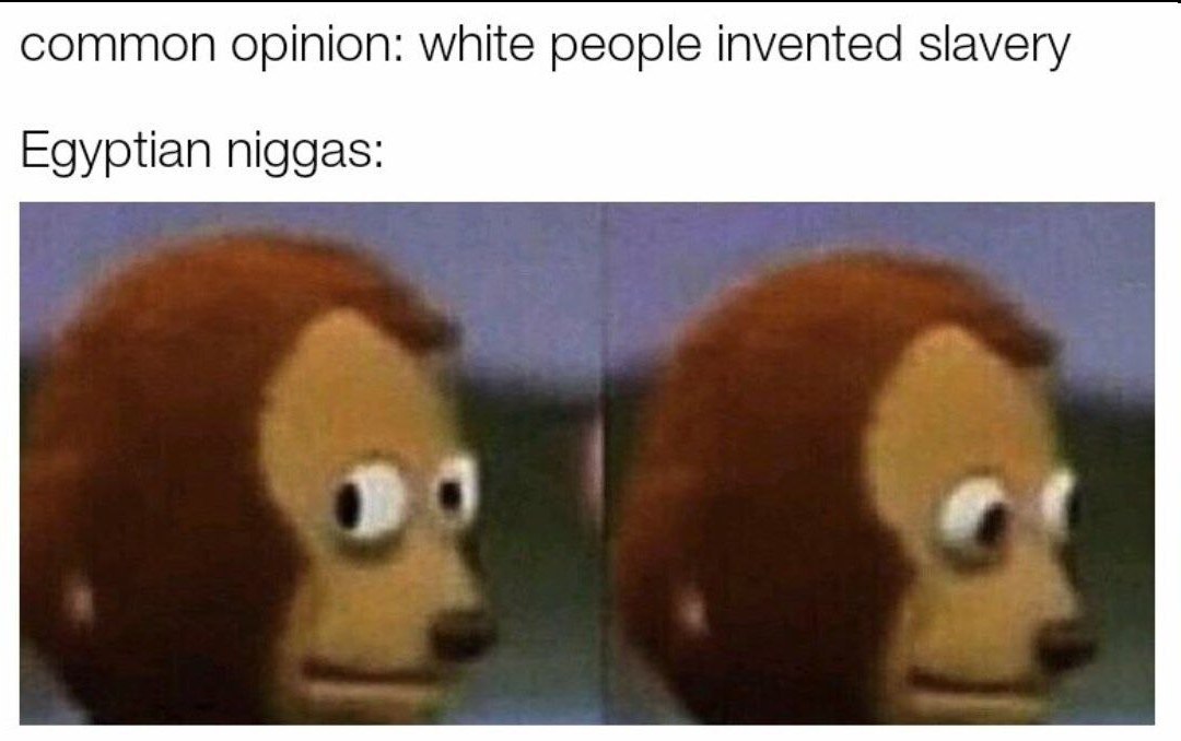 common opinion: white people invented slavery Egyptian niggas: