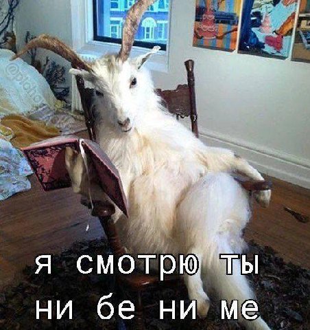 я смотрю ни ни