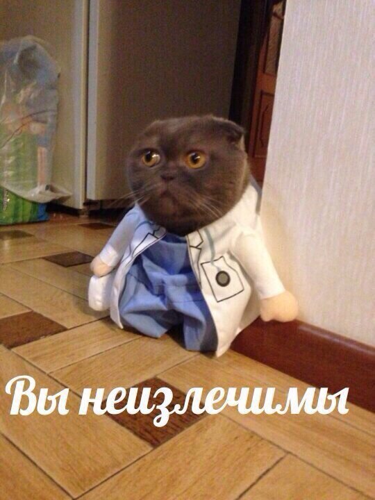 a raf Вы неизлечимы