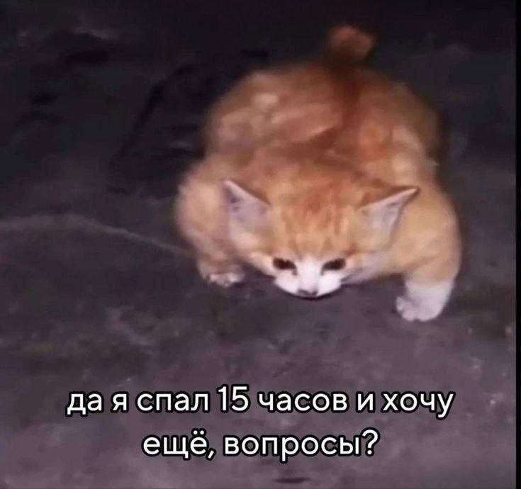 дая спал 15 часов и хочу ещё, вопросы?