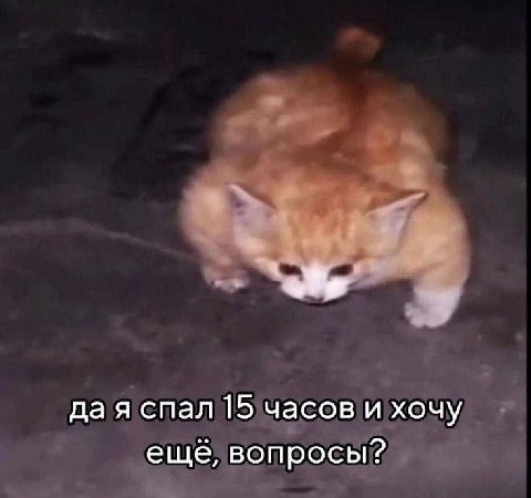 дая спал 15 часов и хочу ещё, вопросы?