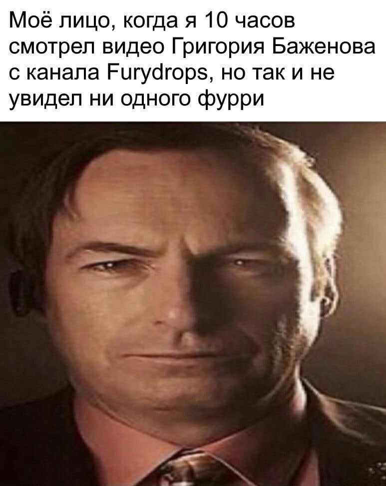 Мое лицо, когда я 10 часов смотрел видео Григория Баженова с канала Furydrops, но так и не увидел ни одного фурри