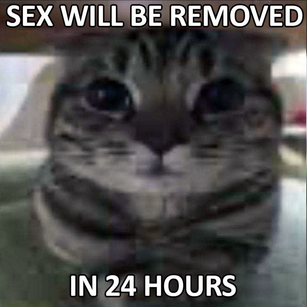 SEX WILL BE REMOVED IN 24 HOURS