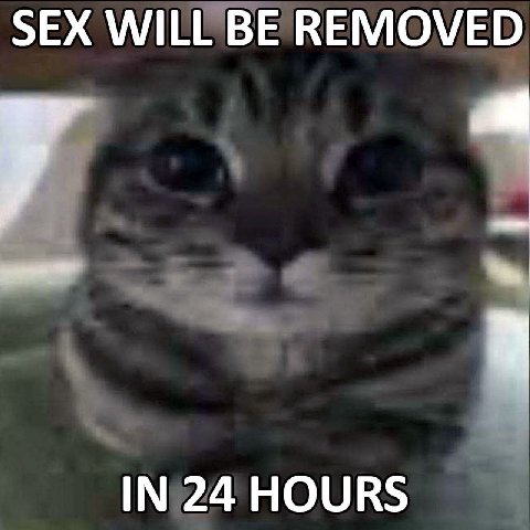 SEX WILL BE REMOVED IN 24 HOURS