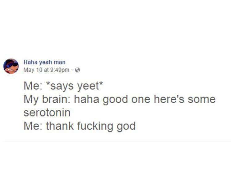 Мау 10 at Haha yeah man “says yeet* brain: haha good one here's some serotonin Me: thank fucking god