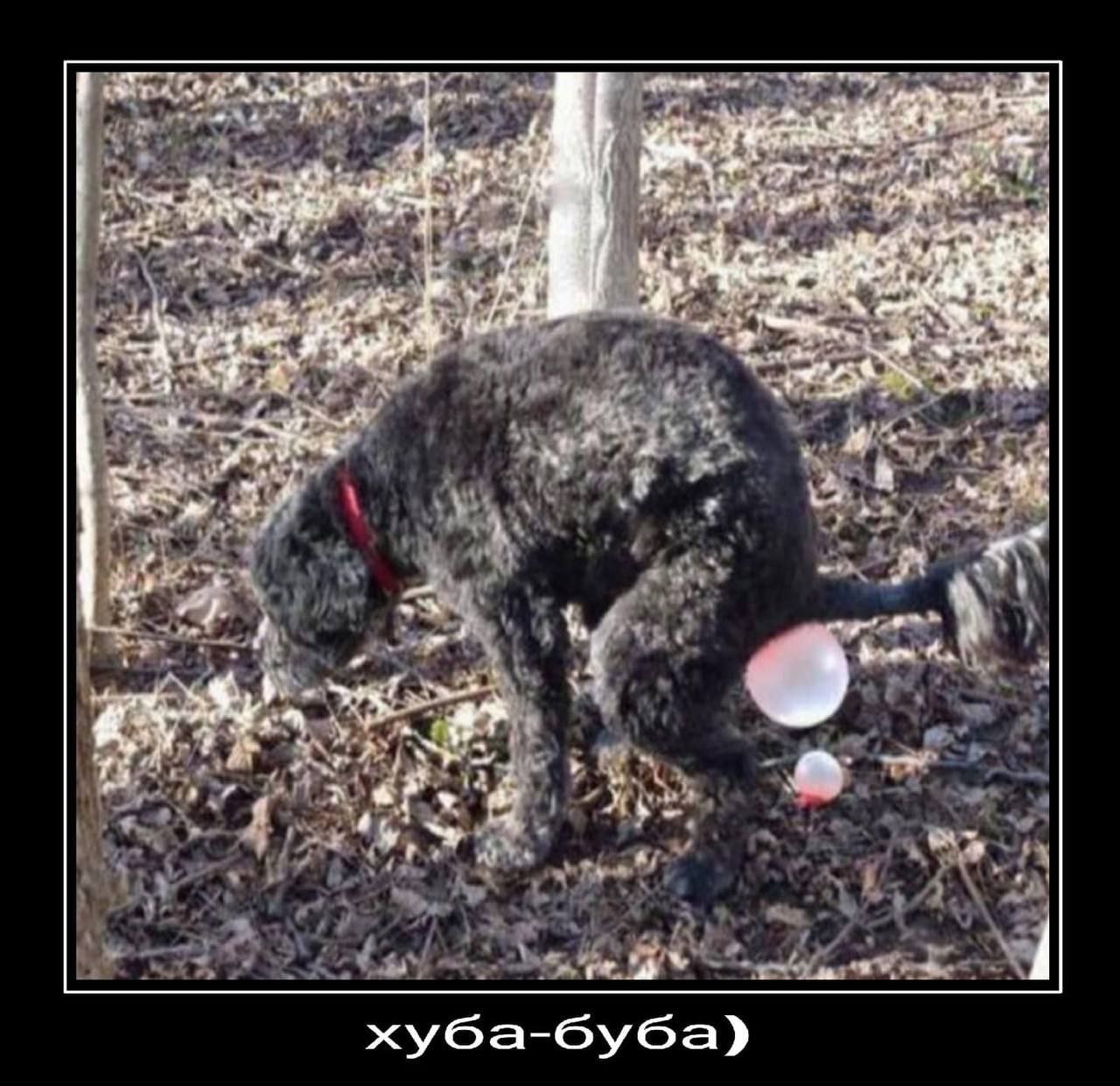 Tal че at 4 у wag хуба-буба)