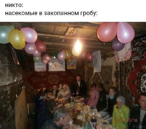 НИКТО: насекомые в закопанном гробу: