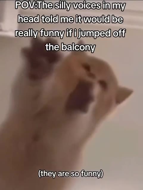 ROWEUINE silly Weltess ti my ihead\toldimelitiwould|ise really;funnyjifiijjumpedioff WHROV-TheysillVivoicesjinimy ihead\toldimelitivouldlbe! Seareally;tunnyifiijjUmped\off РО\/-тпеиуосезиту, reallyifu