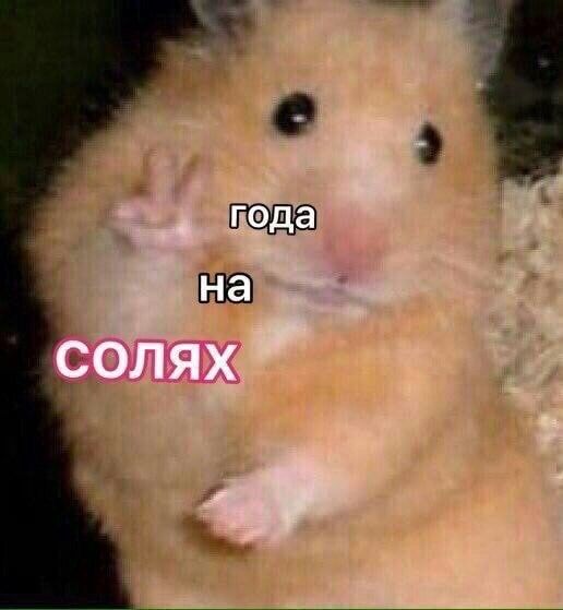 года на CONAX