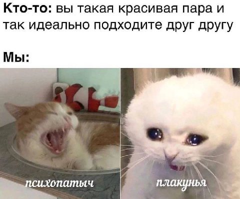 Кто-то: вы такая красивая пара и так идеально подходите друг другу Мы: плакунья