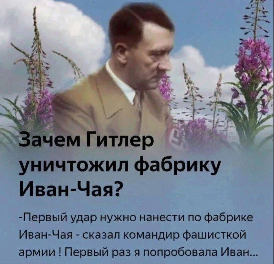 Гитлер уничтожил фабрику Иван-Чая? -Первый удар нужно нанести по фабрике Иван-Чая сказал командир фашисткой армии Первый раз я попробовала Иван...