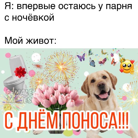 Я: впервые остаюсь у парня с ночёвкой Мой живот: С