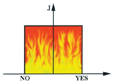 NO YES