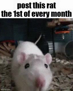 the 131 of every month