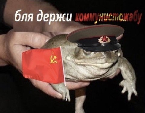 @snegiriandglue