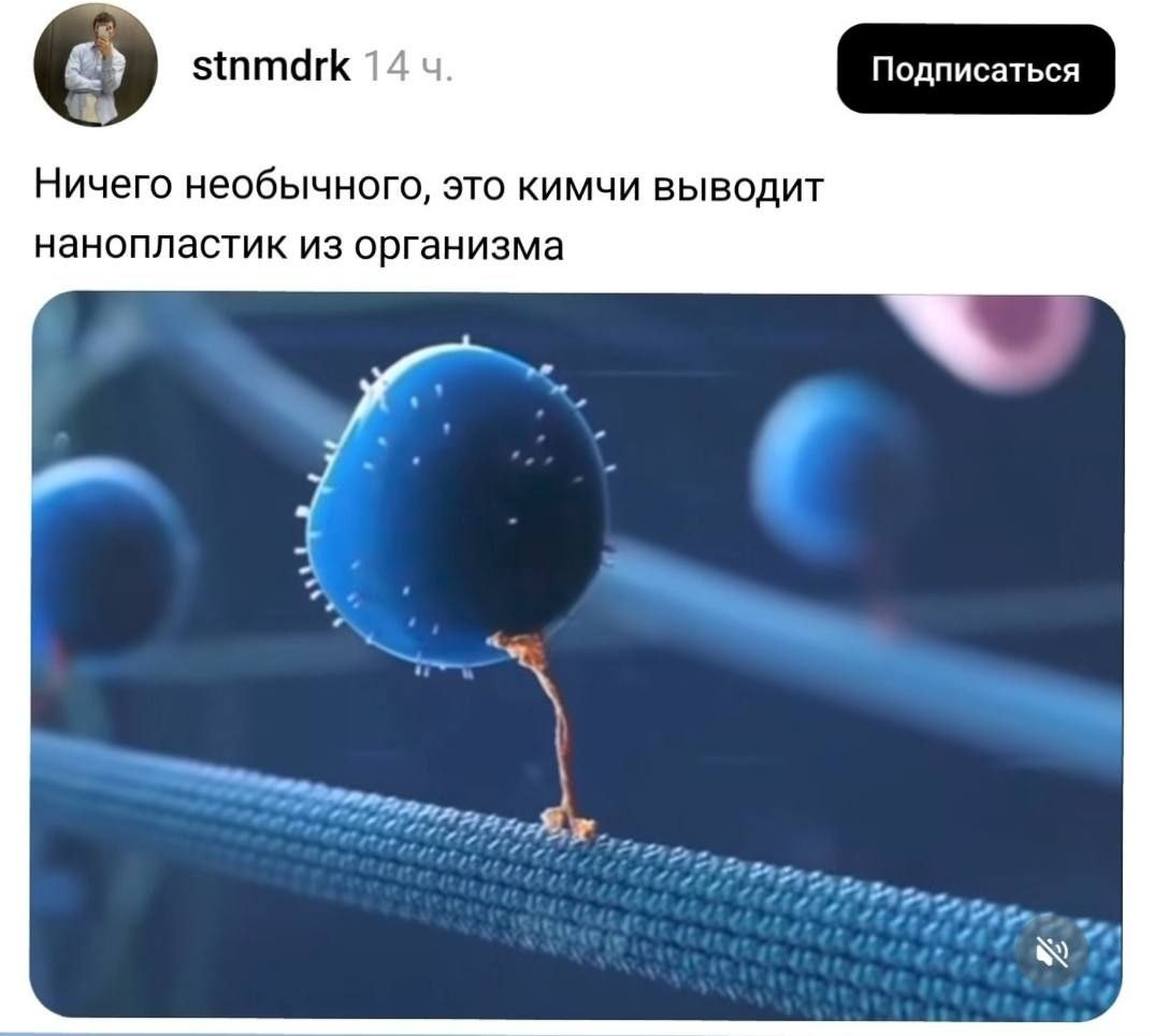 Ничего необычного, это кимчи выводит нанопластик из организма