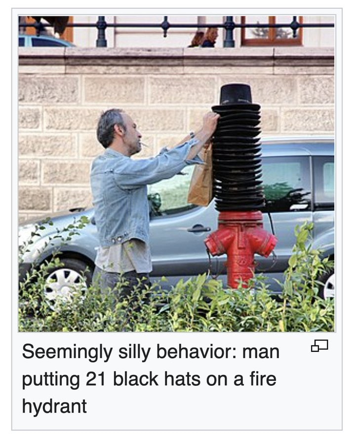 an silly behavior: putting 21 black hats on a fire hydrant