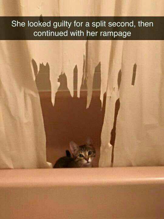 She looked guilty for a split second, then continued with гатраде