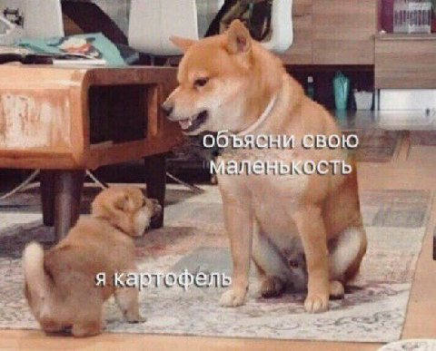 объясни свою маленькость я картофель