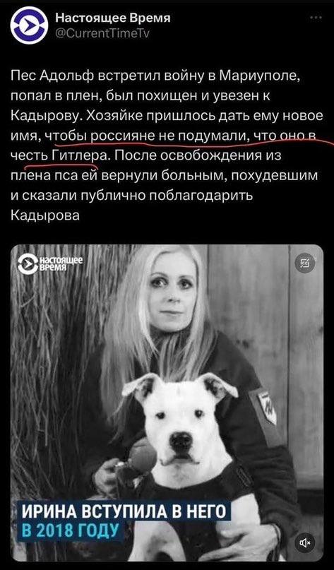 Настоящее Время @CurrentTimeTv Пес Адольф встретил войну в Мариуполе, попал в плен, был похищен и увезен к Кадырову. Хозяйке пришлось дать ему новое имя, чтобы россияне не подумали, что онов__ честь Г