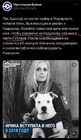 Настоящее Время @CurrentTimeTv Пес Адольф встретил войну в Мариуполе, попал в плен, был похищен и увезен к Кадырову. Хозяйке пришлось дать ему новое имя, чтобы россияне не подумали, что онов__ честь Г