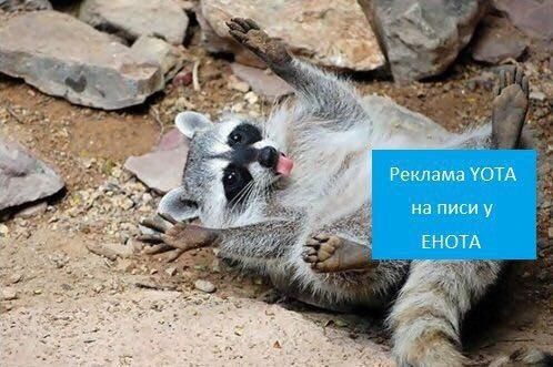 Реклама YOTA 4 писи у ЕНОТА