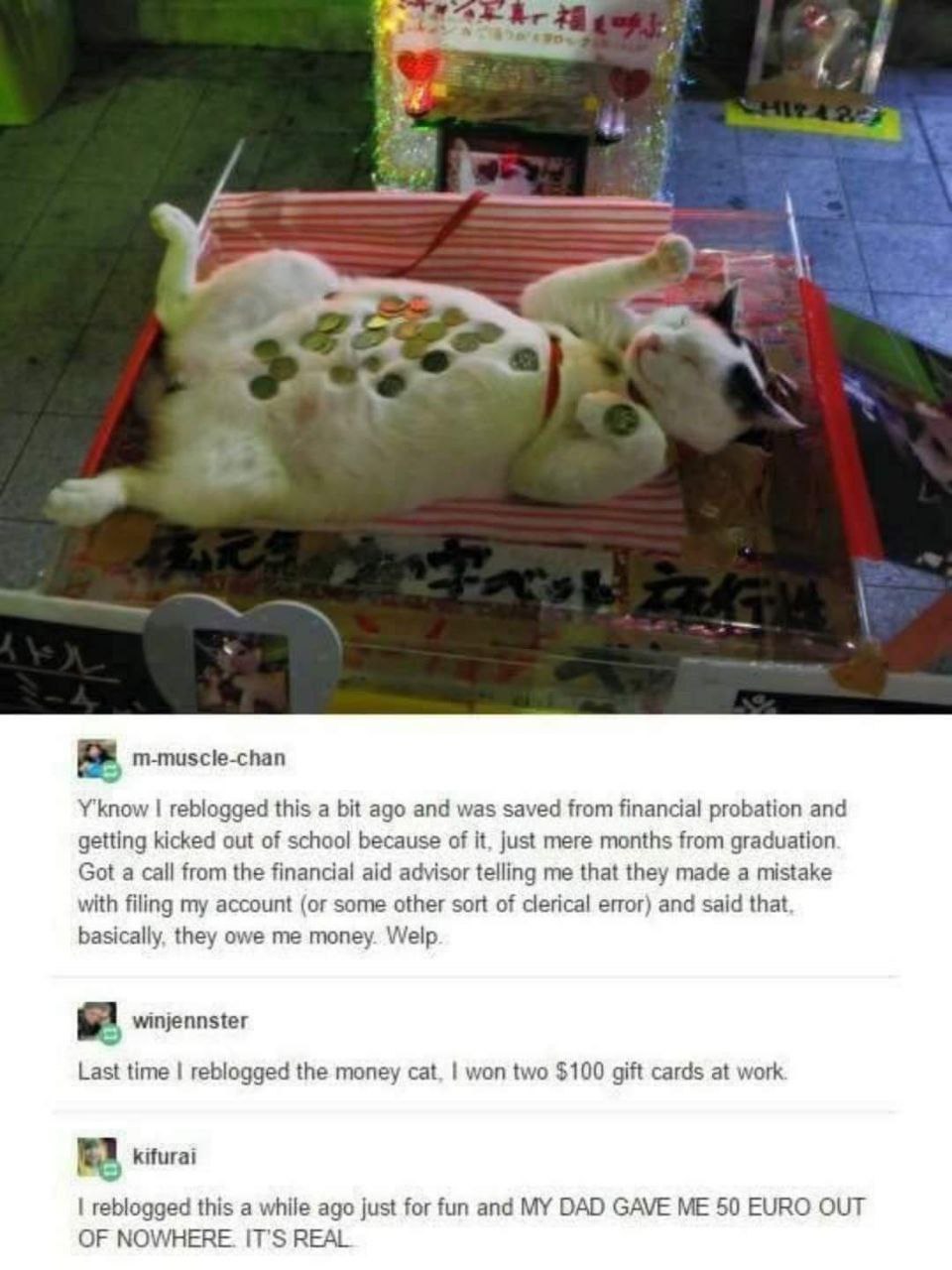 у 4 muscle-chan Y'know reblogged this а bit ago and was saved from financial probation and getting kicked out of school because of it, just mere months from graduation Got a call from the financial ai