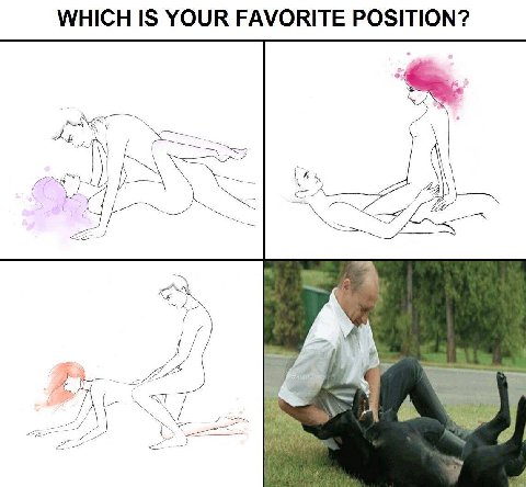 WHICH IS YOUR FAVORITE POSITION? 1 a