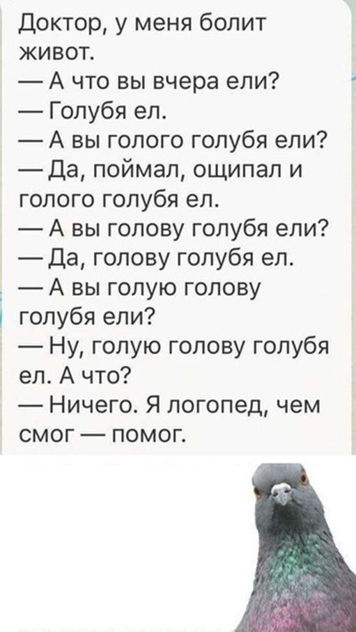 Доктор, у меня болит ЖИВОТ. А что вы вчера ели? Голубя А вы голого голубя ели? Да, поймал, ощипал и голого голубя А вы голову голубя ели? Да, голову голубя A голую голову голубя ели? Ну, голую голову 