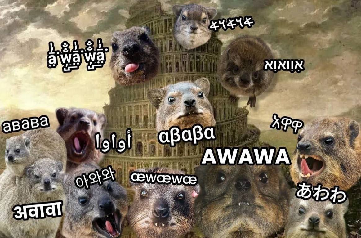A 4 вава а lolol ара