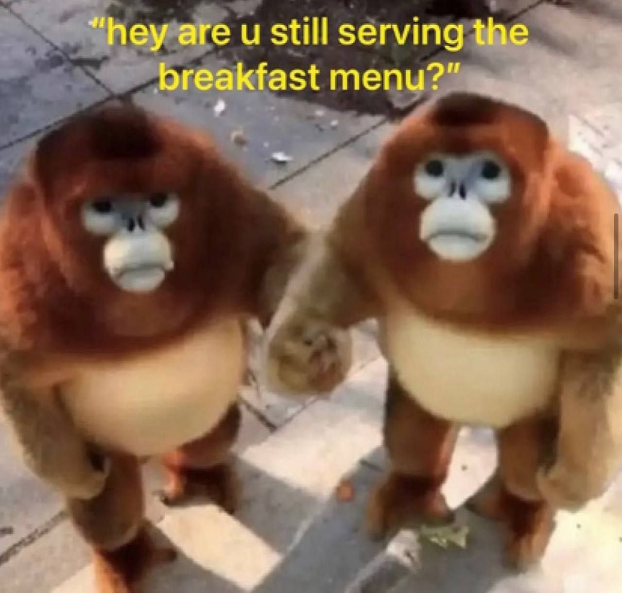 и still serving breakfast ment
