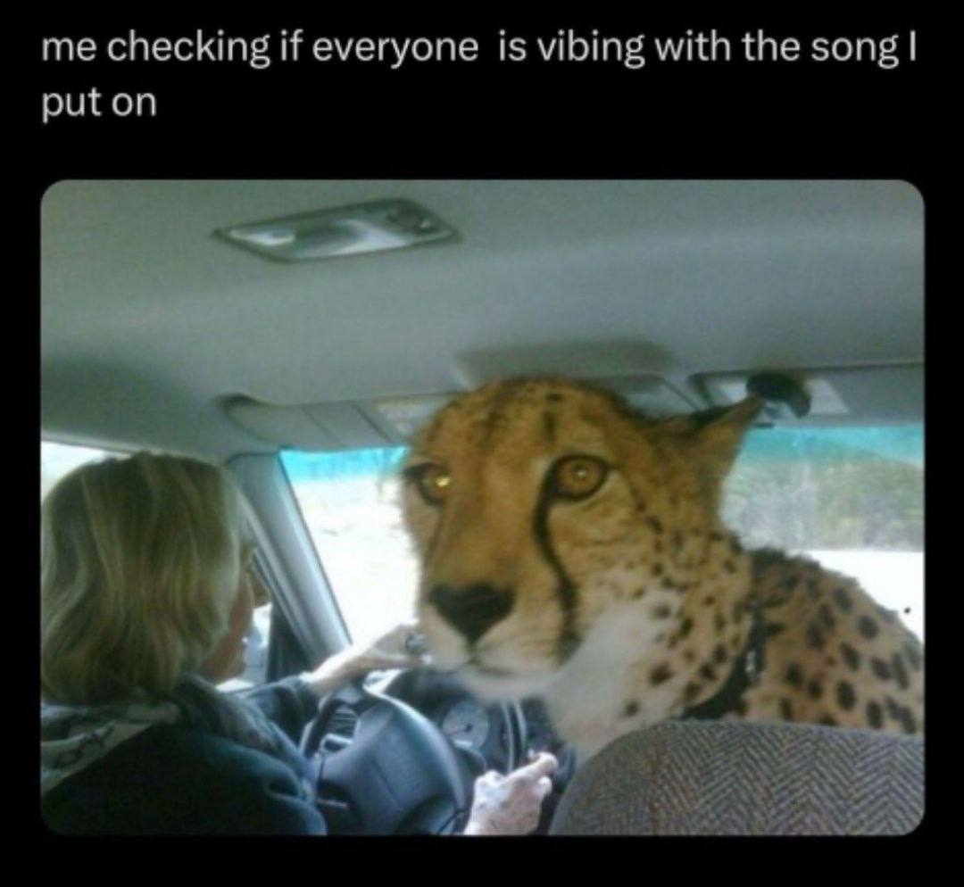 me checking if everyone is vibing with the song put on a 1%“
