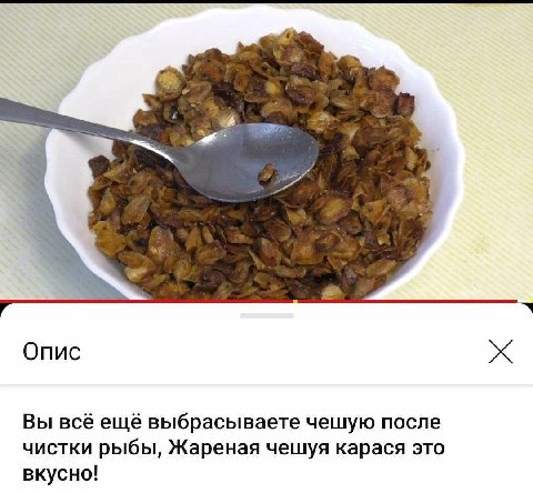 Onuc Вы всё ещё выбрасываете чешую после чистки рыбы, Жареная чешуя карася это вкусно!