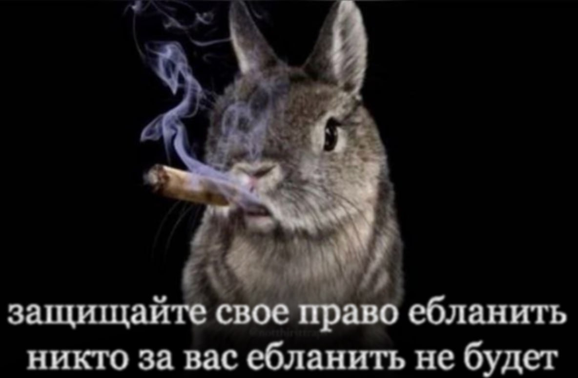 защищаите свое право ебланить никто за вас ебланить не будет
