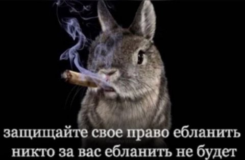 защищаите свое право ебланить никто за вас ебланить не будет