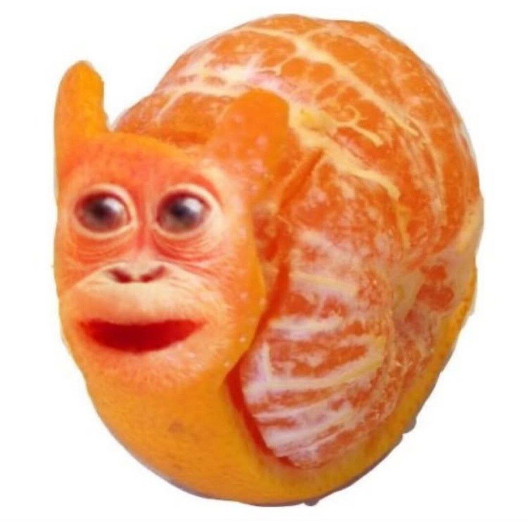 я |. \ > ; ‘ к. ` > >» : р Ee : — че ~
