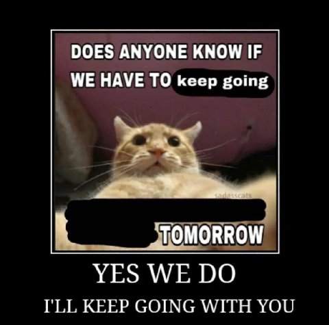 DOES ANYONE KNOW IF WE HAVE TO keep going К YES WE I'LL KEEP GOING WITH YOU