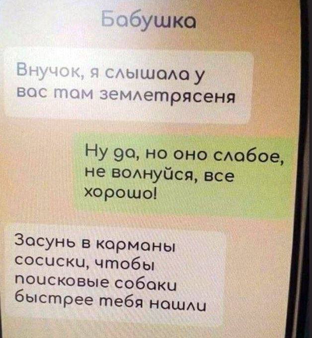 ушка ‘ышала у Bac емлетрясеня Ну да, но оно слабое, не волнуйся, все хорошо! Засунь в карманы сосиски, чтобы почсковые собаки быстрее тебя нашли