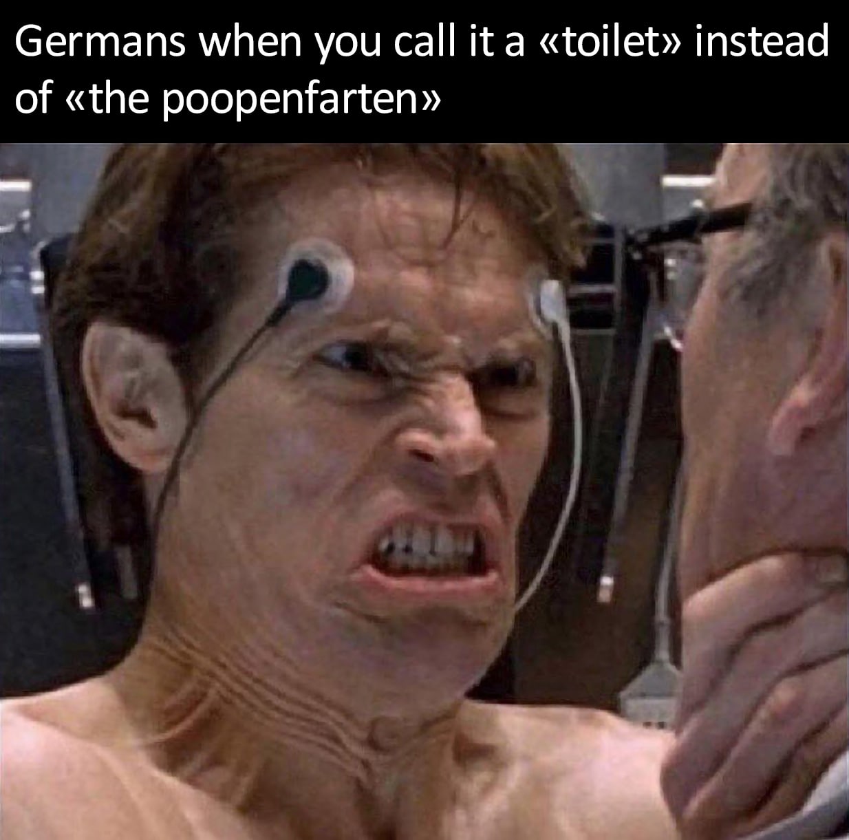 Germans when you call it a «toilet» instead of «the poopenfarten»