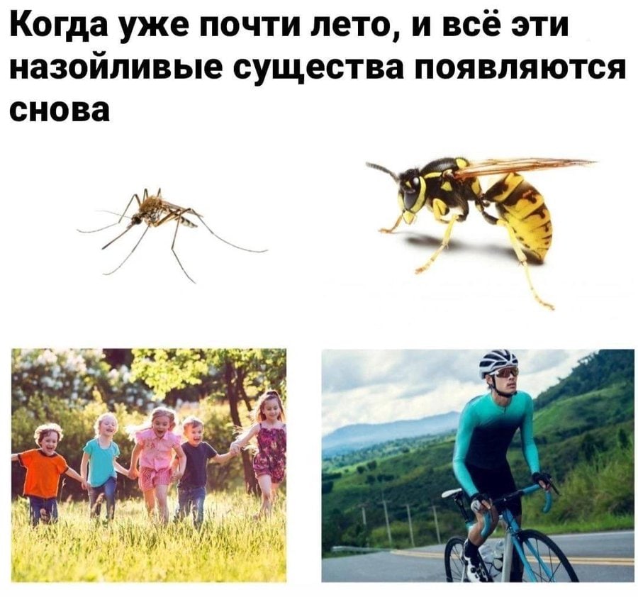 Когда уже почти лето, и всё эти назойливые существа появляются снова AS